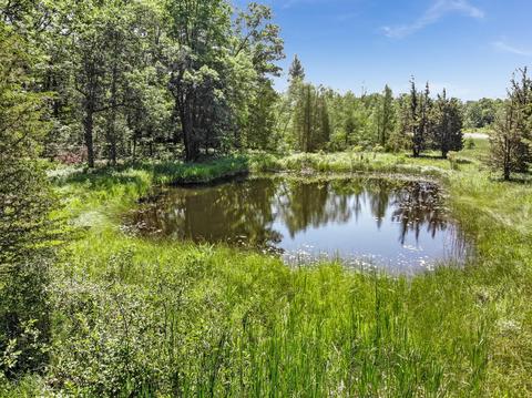 5160 E Baseline Rd, White Cloud, MI 49349 photo 4