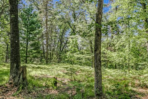 5160 E Baseline Rd, White Cloud, MI 49349 photo 24