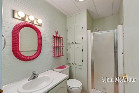 10319 Fisk Rd, Belding, MI 48809 photo 19