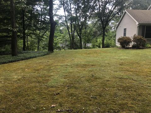 3637 Fox Ln, Ada, MI 49301 photo 5