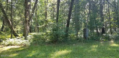 928 E 14 Mile Rd, Bitely, MI 49309 photo 13