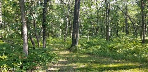 928 E 14 Mile Rd, Bitely, MI 49309 photo 14