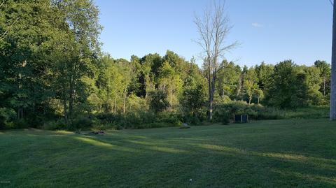 10 E Pakes Rd, Stanton, MI 48888 photo 42