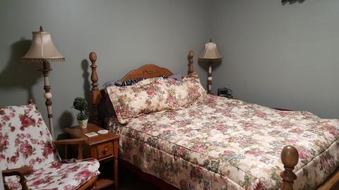 10 E Pakes Rd, Stanton, MI 48888 photo 32