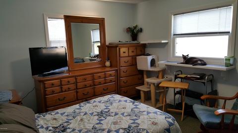10 E Pakes Rd, Stanton, MI 48888 photo 22
