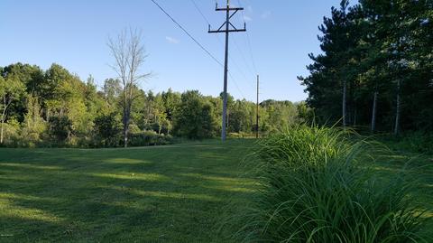 10 E Pakes Rd, Stanton, MI 48888 photo 50
