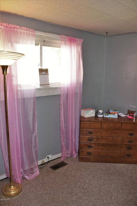 113 E Gilson St, Edmore, MI 48829 photo 11