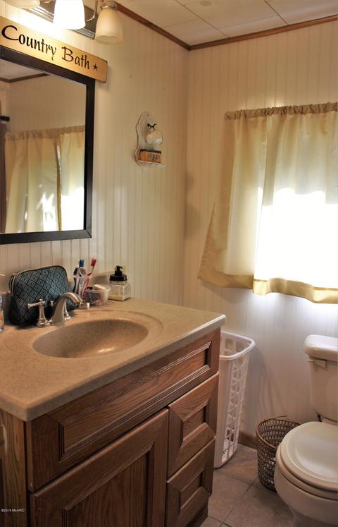 113 E Gilson St, Edmore, MI 48829 photo 14