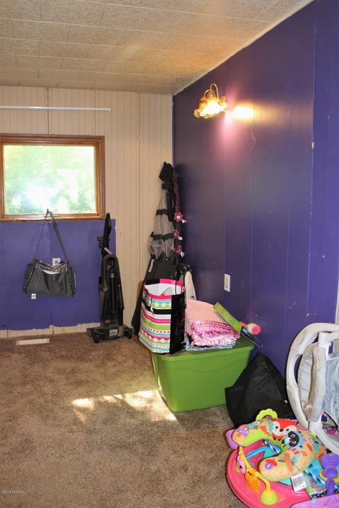 113 E Gilson St, Edmore, MI 48829 photo 13