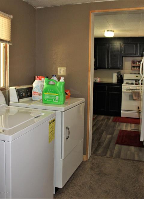 113 E Gilson St, Edmore, MI 48829 photo 15