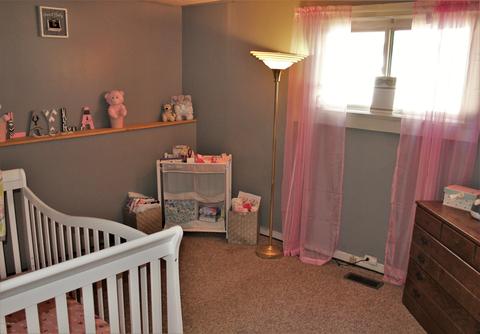 113 E Gilson St, Edmore, MI 48829 photo 10