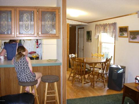 441 E 11 Mile Rd, Irons, MI 49644 photo 5
