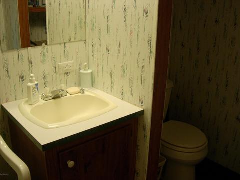 441 E 11 Mile Rd, Irons, MI 49644 photo 11