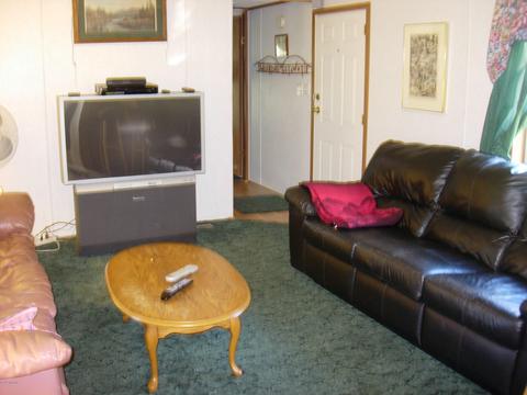 441 E 11 Mile Rd, Irons, MI 49644 photo 7