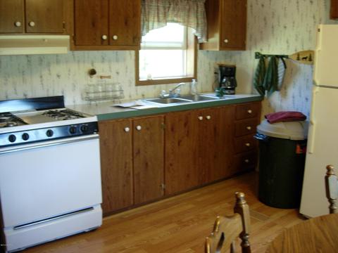 441 E 11 Mile Rd, Irons, MI 49644 photo 6