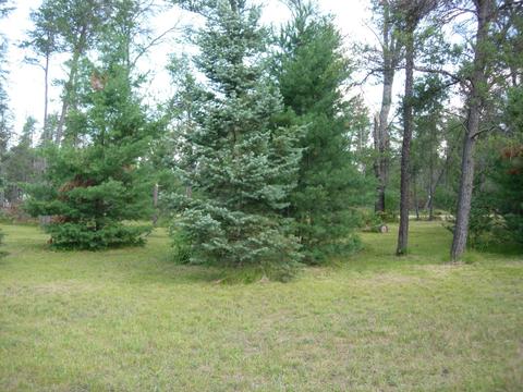 441 E 11 Mile Rd, Irons, MI 49644 photo 16