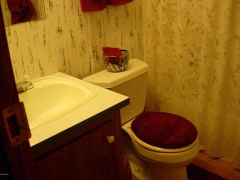 441 E 11 Mile Rd, Irons, MI 49644 photo 13