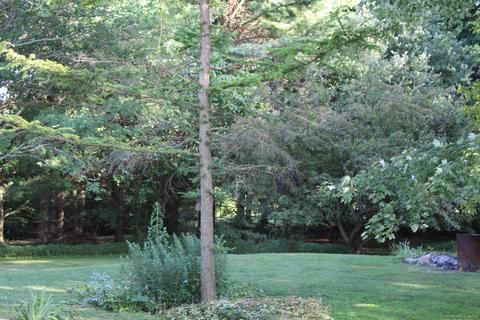 33339 Baseline Rd, Gobles, MI 49055 photo 23