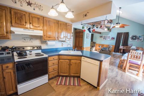 480 Dickerson Vw SW, Stanton, MI 48888 photo 9