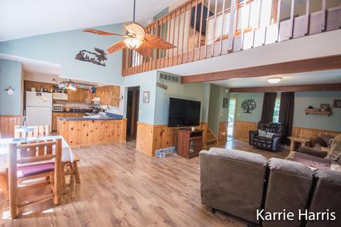 480 Dickerson Vw SW, Stanton, MI 48888 photo 5