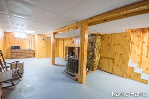 480 Dickerson Vw SW, Stanton, MI 48888 photo 15