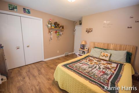 480 Dickerson Vw SW, Stanton, MI 48888 photo 11