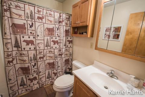480 Dickerson Vw SW, Stanton, MI 48888 photo 12