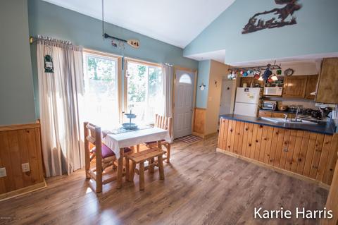 480 Dickerson Vw SW, Stanton, MI 48888 photo 6