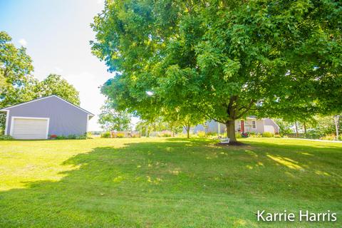 480 Dickerson Vw SW, Stanton, MI 48888 photo 4