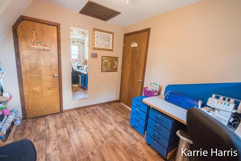480 Dickerson Vw SW, Stanton, MI 48888 photo 14