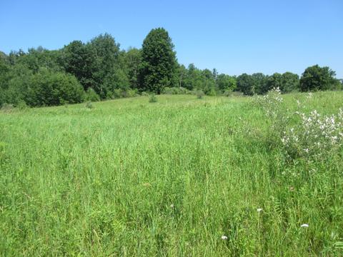70 Th Ave, Evart, MI 49631 photo 13