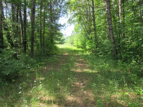 70 Th Ave, Evart, MI 49631 photo 35