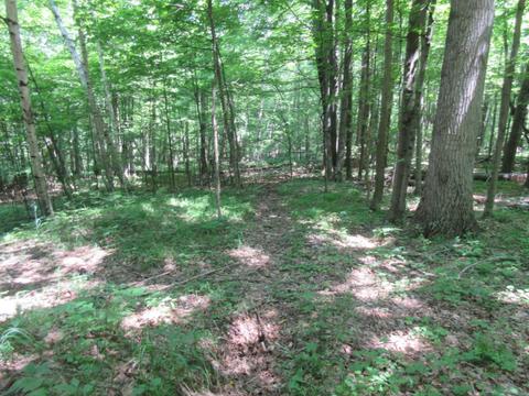 70 Th Ave, Evart, MI 49631 photo 44
