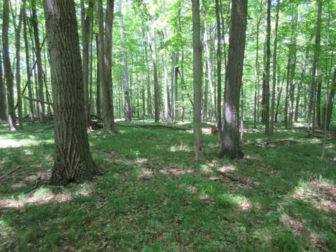 70 Th Ave, Evart, MI 49631 photo 43