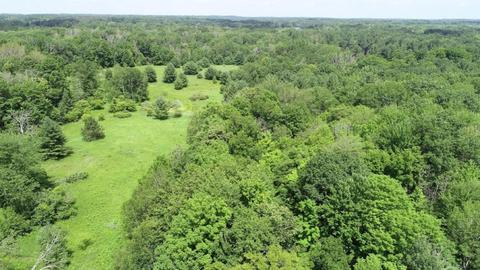70 Th Ave, Evart, MI 49631 photo 11