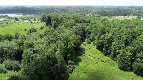 70 Th Ave, Evart, MI 49631 photo 8