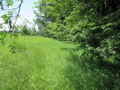 70 Th Ave, Evart, MI 49631 photo 29