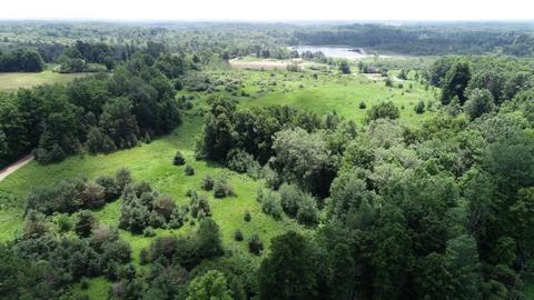 70 Th Ave, Evart, MI 49631 photo 6