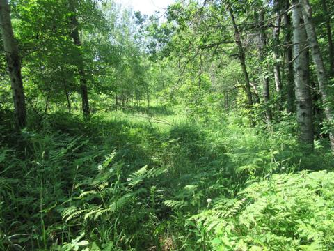 70 Th Ave, Evart, MI 49631 photo 18