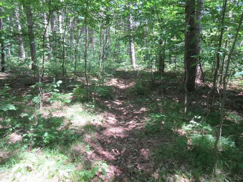 70 Th Ave, Evart, MI 49631 photo 47