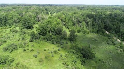 70 Th Ave, Evart, MI 49631 photo 10