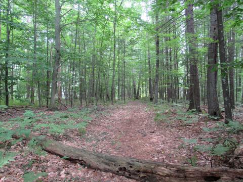 9101 Johnson Rd, Kaleva, MI 49645 photo 9
