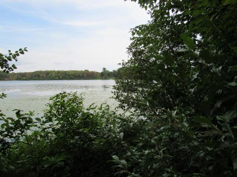 9101 Johnson Rd, Kaleva, MI 49645 photo 16