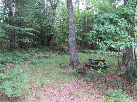 9101 Johnson Rd, Kaleva, MI 49645 photo 5