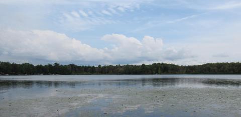 9101 Johnson Rd, Kaleva, MI 49645 photo 17