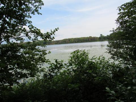 9101 Johnson Rd, Kaleva, MI 49645 photo 1