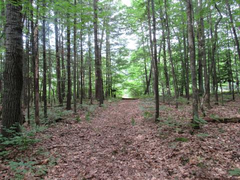 9101 Johnson Rd, Kaleva, MI 49645 photo 13
