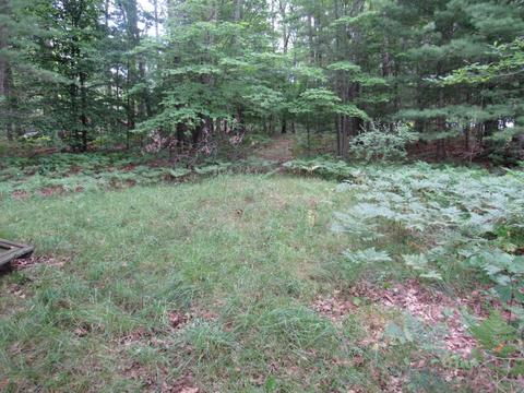 9101 Johnson Rd, Kaleva, MI 49645 photo 6