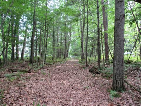 9101 Johnson Rd, Kaleva, MI 49645 photo 14