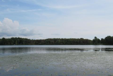 9101 Johnson Rd, Kaleva, MI 49645 photo 12
